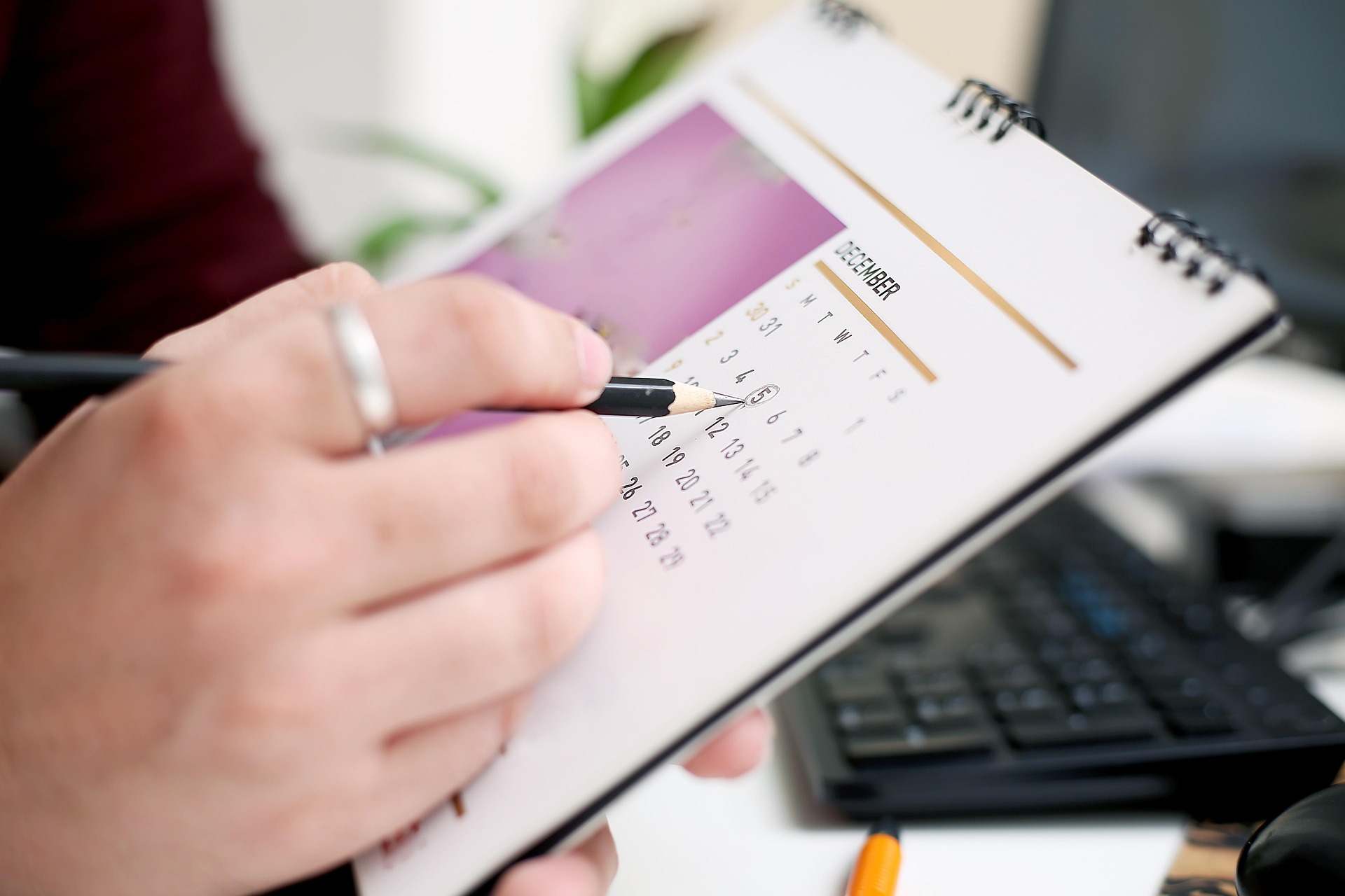 Applicant planning schedule and deadlines